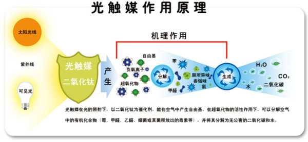 這些有效的除甲醛方法，你都知道嗎？
